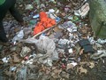 Nettoyage de printemps à Villeneuve Saint Georges le dimanche 18 mars