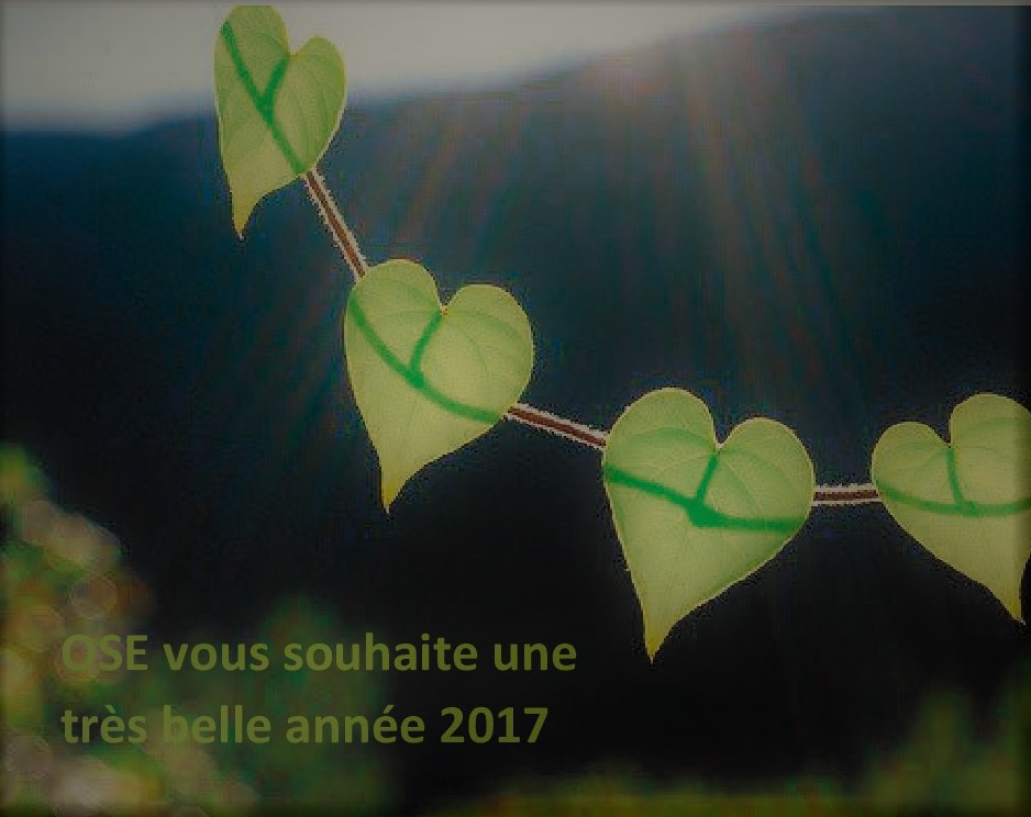 Meilleurs voeux 2017 de la part de OSE!